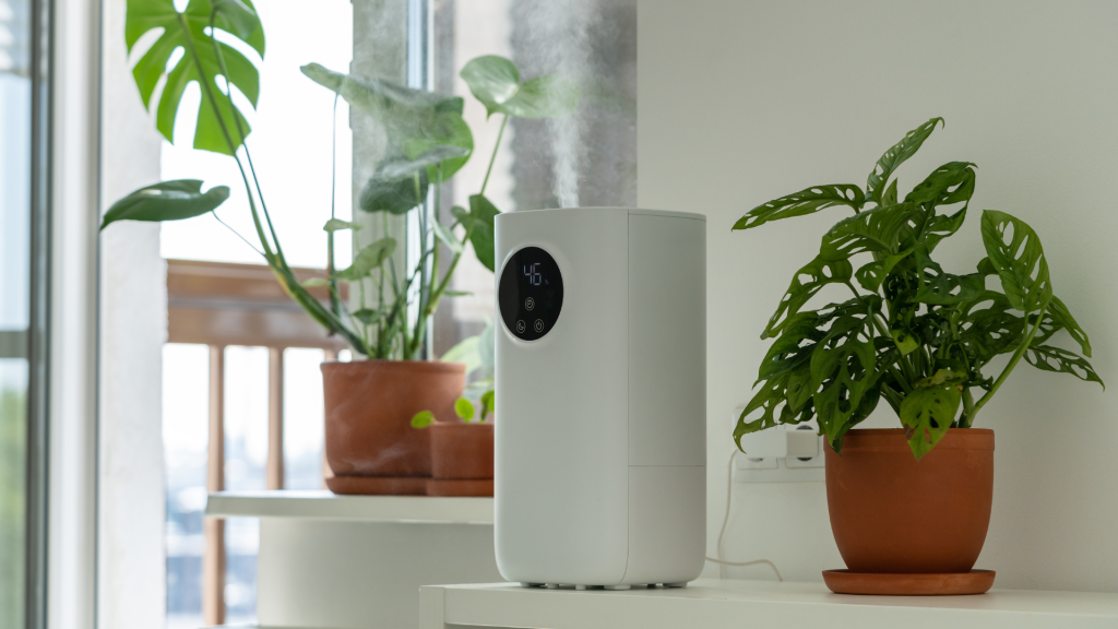 Healthy Indoor Air Quality